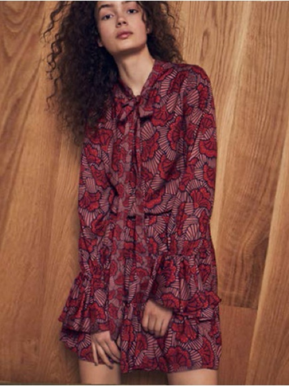 Alexis Elizavetta Mini Dress in Red Floral